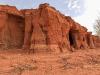 Красная круча. 2021 год