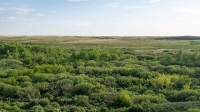 Усть-Карабутакские утесы на Кумаке. Май 2021 года