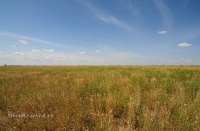 Урочище Артыкколь