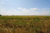 Урочище Артыкколь