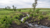 Большой Чилижный дол. Май 2021 года