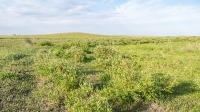 Большой Чилижный дол. Май 2021 года