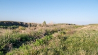 Тастыбутакское ущелье на реке Кумак. Май 2021 года