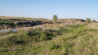 Тастыбутакское ущелье на реке Кумак. Май 2021 года