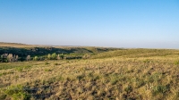Тастыбутакское ущелье на реке Кумак. Май 2021 года
