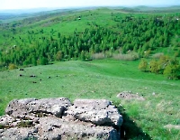 Урочище Степной Маяк