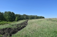 Курманаевский район