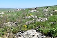 Гора Тасуба (Тас-Тюбе)