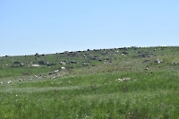 Гора Тасуба (Тас-Тюбе)