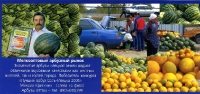 Соль-Илецк. 250 лет