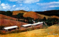 Медногорск