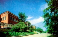 Медногорск. 1987 год.