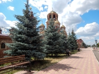 Свято-Троицкая Симеонова Обитель Милосердия п. Саракташ