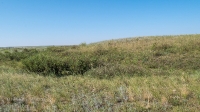 Курганная группа западнее села Тамар-Уткуль