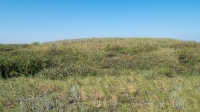 Курганная группа западнее села Тамар-Уткуль