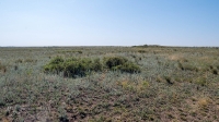 Курганная группа западнее села Тамар-Уткуль