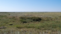 Курганная группа западнее села Тамар-Уткуль