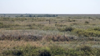 Курганная группа западнее села Тамар-Уткуль