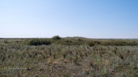 Курганная группа западнее села Тамар-Уткуль