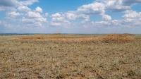 Курганная группа восточнее села Кумакское