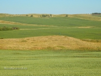 Саракташский район