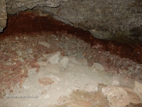 Саракташский район