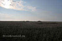 Степные урочища с курганами 