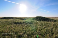 Степные урочища с курганами 