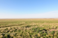 Урочище Иш-Оба. Май 2014 года