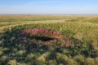 Урочище Иш-Оба. Май 2014 года