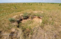 Курган