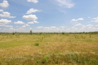 Курган