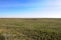 Курганная группа
