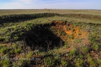 Курганная группа