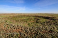 Курганная группа. Май 2014 года