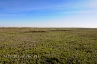 Курганная группа
