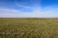 Курганная группа