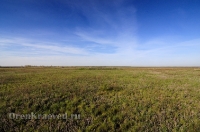 Курганная группа