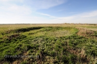 Курганная группа