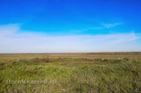 Курганная группа