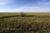 Курганная группа
