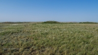 Четыре кургана близ села Карабутак. Май 2021 года