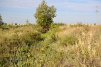 Чапаевские колки, фрагмент вала Перовского