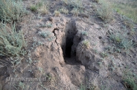 Степные урочища с курганами Три Мара