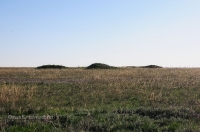 Степные урочища с курганами Три Мара. Май 2014 года