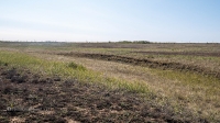 Еленовский рудник
