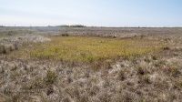 Еленовский рудник
