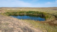Еленовский рудник