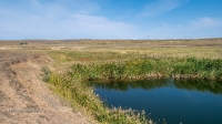 Еленовский рудник