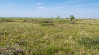 Орловские рудники